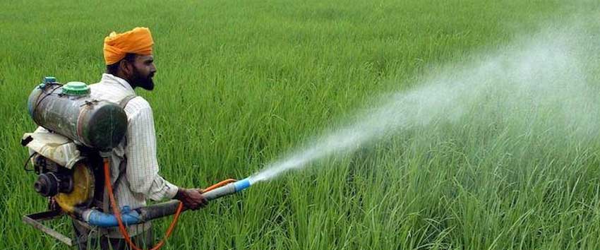 Indian farmer uses pesticides optimally!
